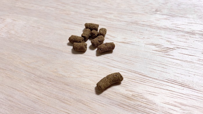犬猫生活（旧レガリエ）の粒は、大きいもので1cmくらい