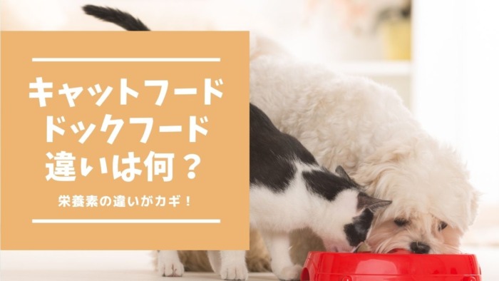 知らなきゃヤバイ ドッグフードとキャットフードの違いは栄養素 猫にドッグフードがｎｇな理由 たぬきのインドア生活