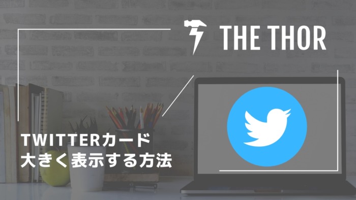 The Thor Twitterカードでアイキャッチを綺麗に表示させる方法 設定方法 たぬきのインドア生活