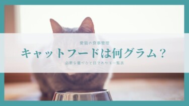 あなたの猫に必要な餌の量は グラム 一目で分かる一覧表で求めちゃおう たぬきのインドア生活
